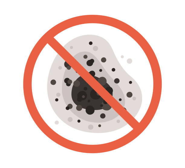  Keeler Farm, NM Mold Removal Pros